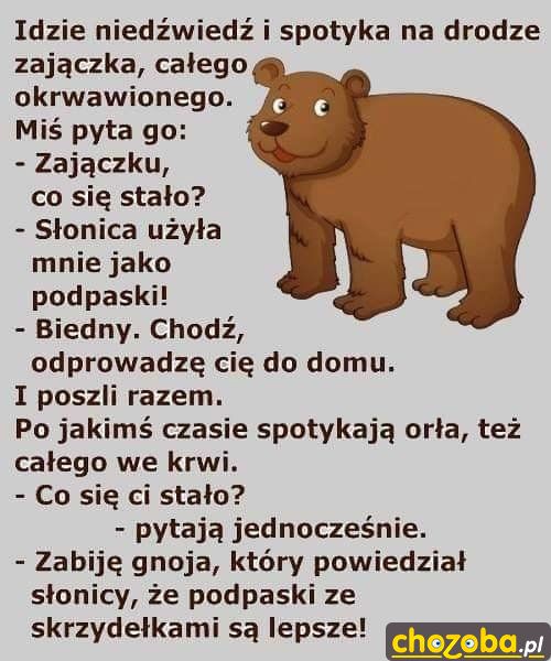 Słonica i podpaski