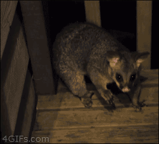 Ręce do góry