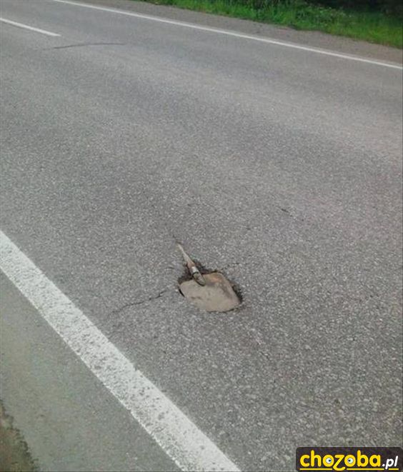 Polska droga