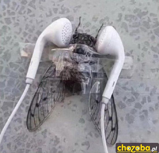 Audio mucha