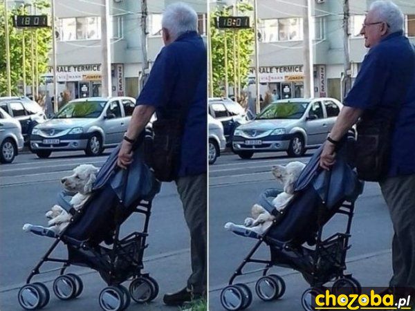 Z synkiem na spacerze