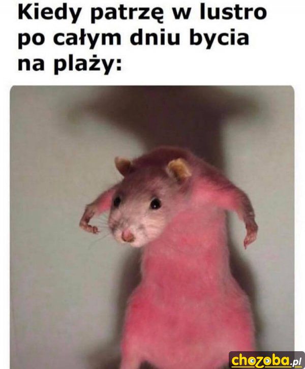 Opalenizna