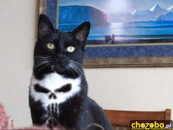 Punisher