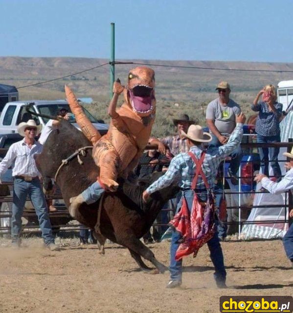 Dinozaur na rodeo