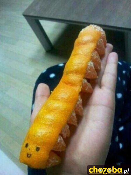 Pomarańczowa gąsienica