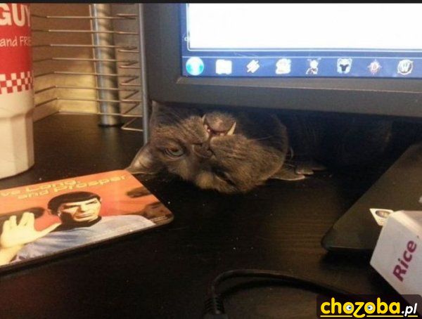Wampir zza monitora