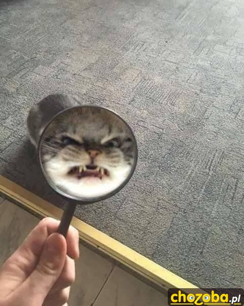 Co my tu mamy?
