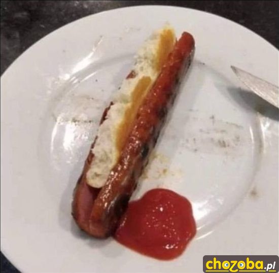 Dog Hot