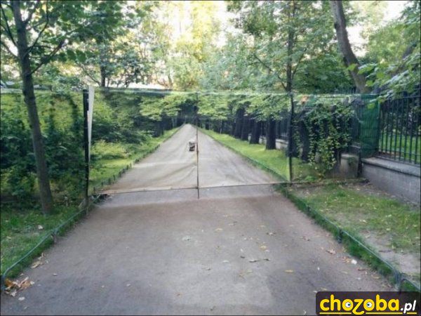 Niewidzialna brama