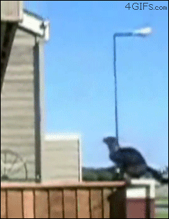 Długi skok
