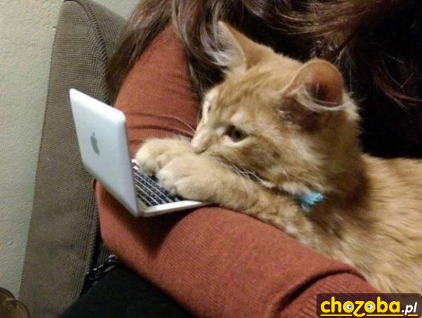 Przy laptopie