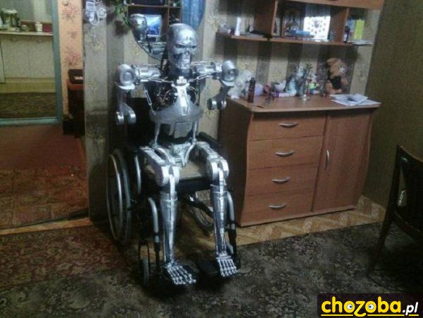Terminator na emeryturze