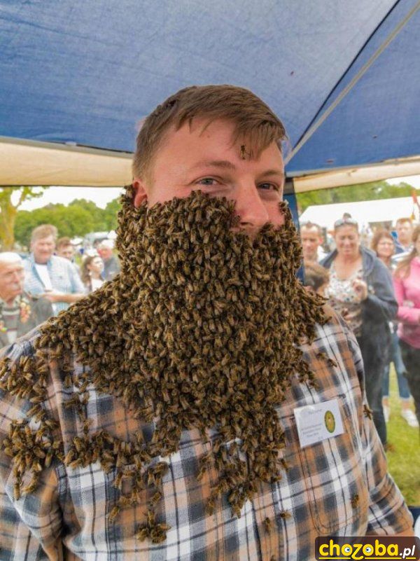 Żywa broda