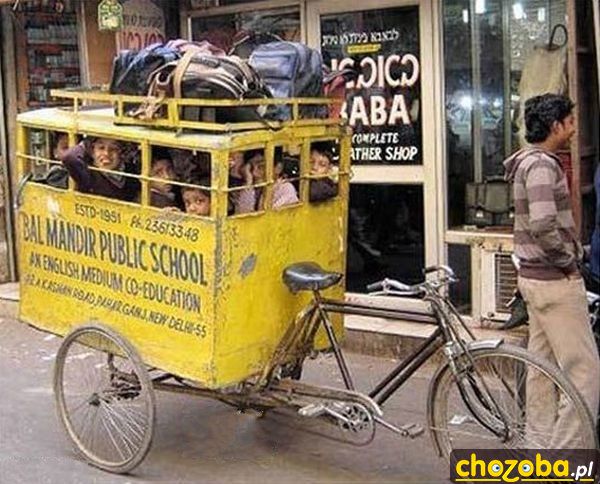Indyjski gimbus