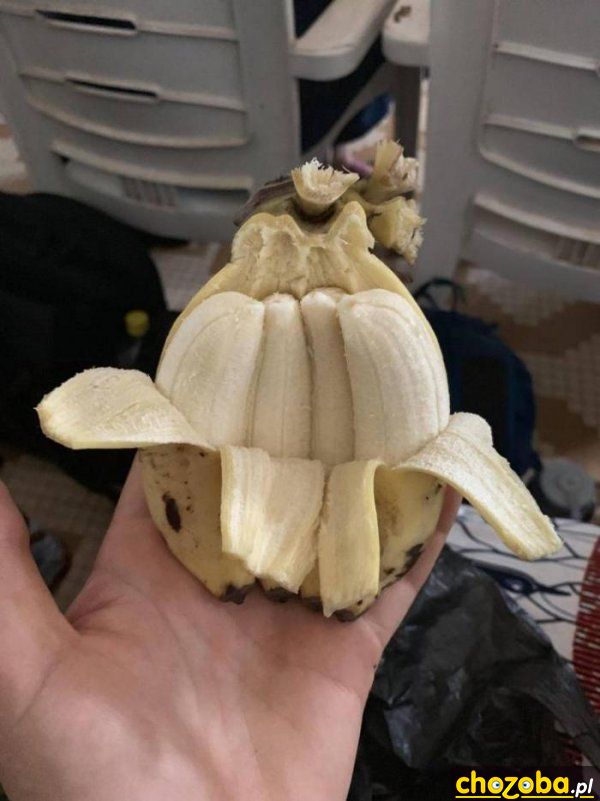 Bananowe bliźniaki