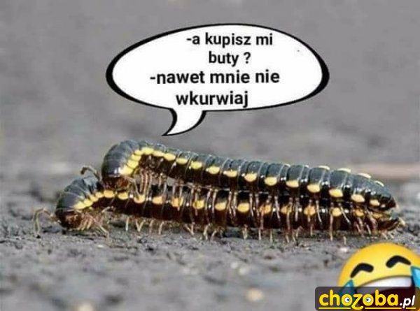 Nowe buty