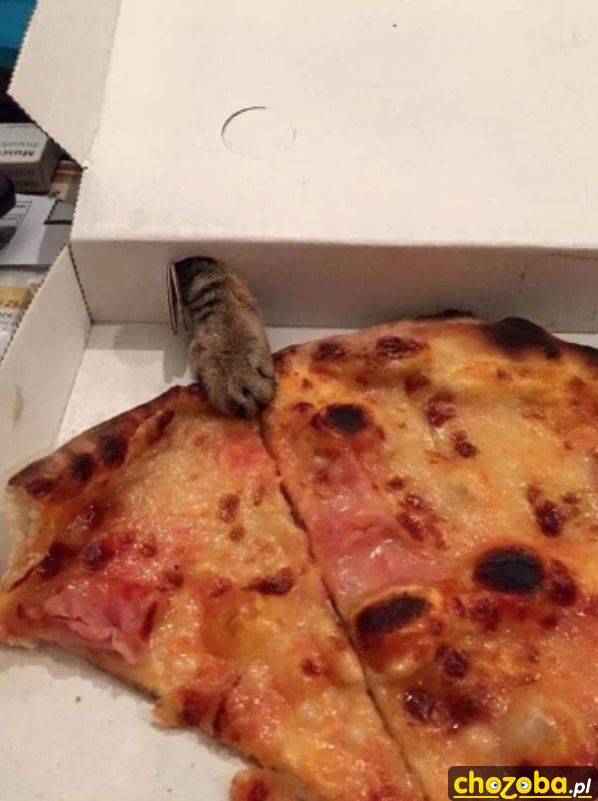 Moja pizza!