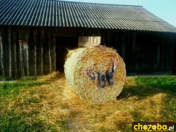 Po żniwach