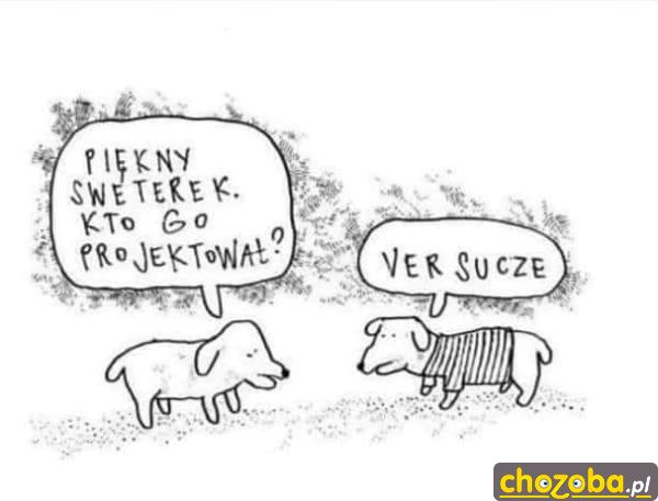 Sweterek
