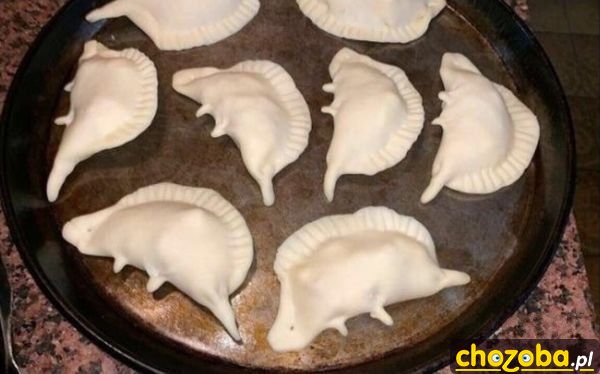 Dinozaury