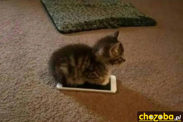 Cieplutki telefon