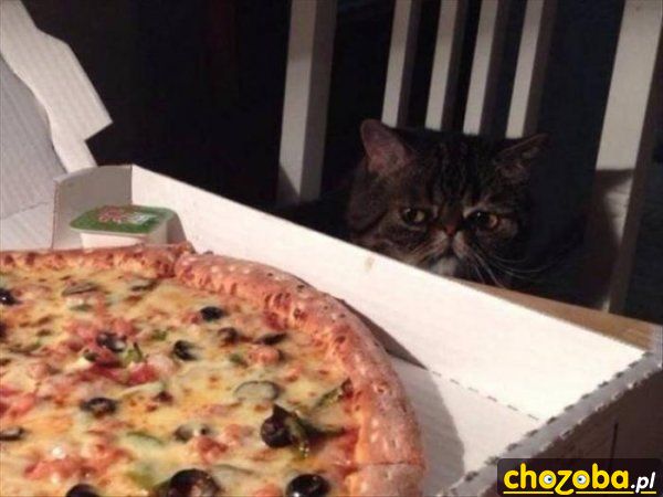 Duża ta pizza
