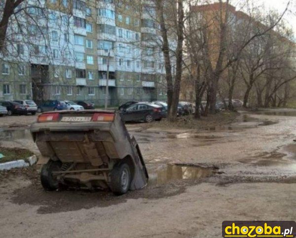Samochód przy wodopoju