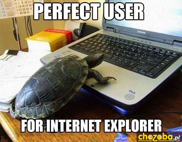 Najlepszy użytkownik dla Internet Explorera