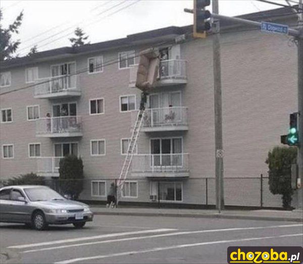 Damy radę