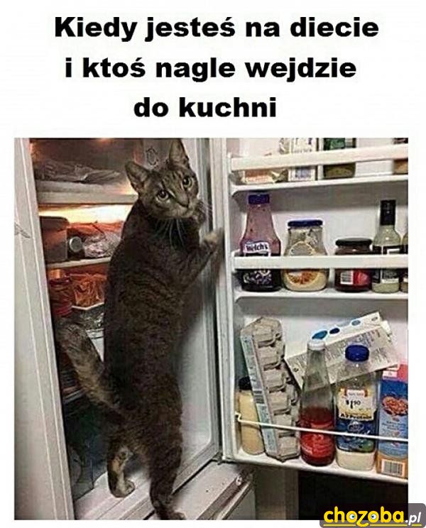 Dieta