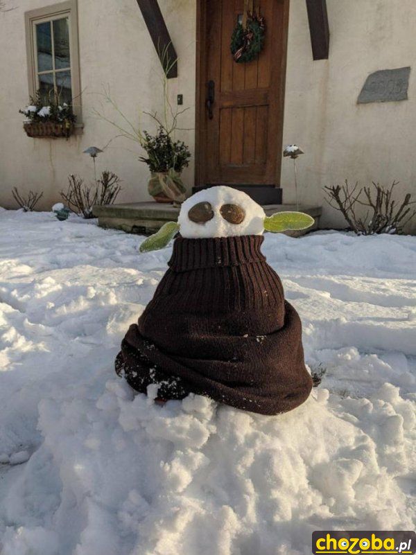 Yoda zimą