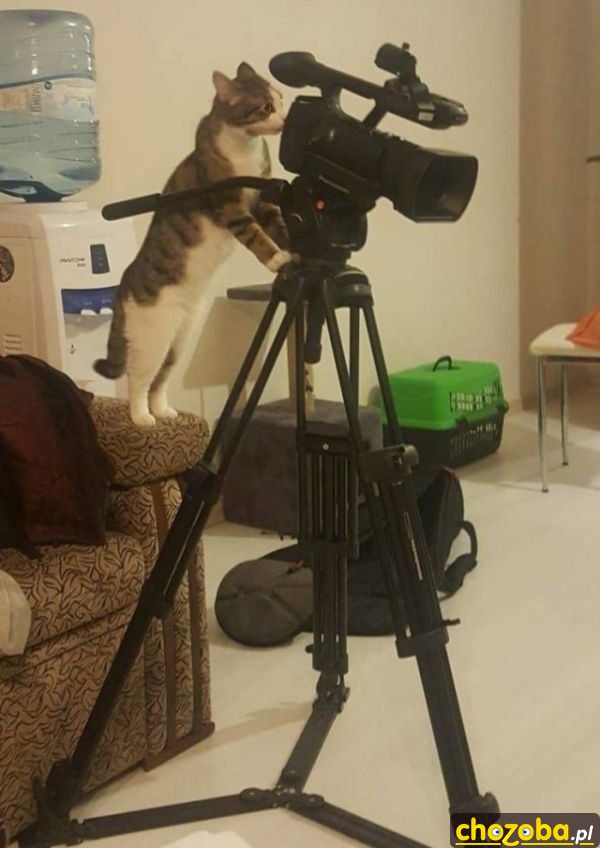 Akcja!