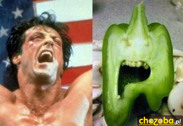 Aaaaaa!