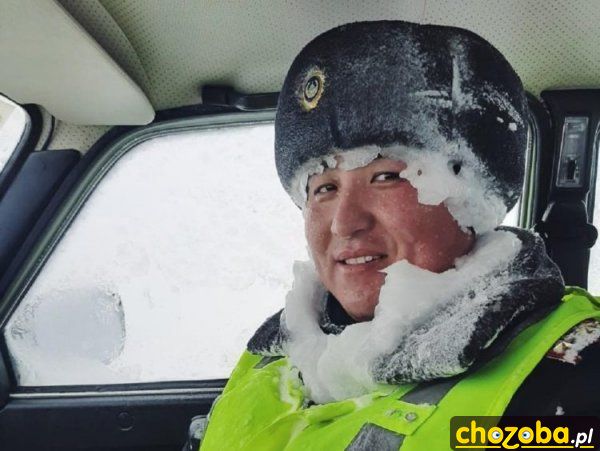 Zimno dzisiaj