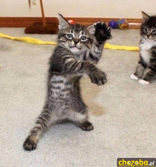Karate