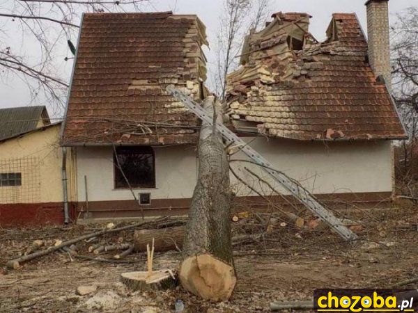 Spadło nie tam gdzie trzeba