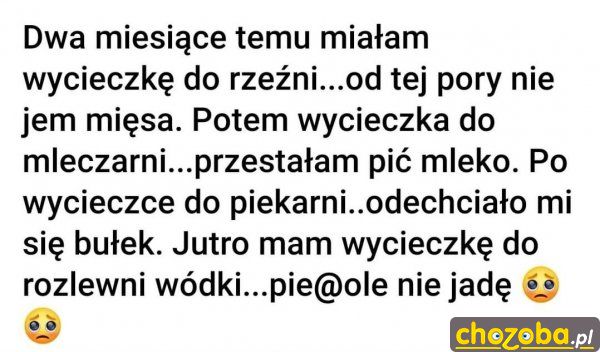 Wycieczka