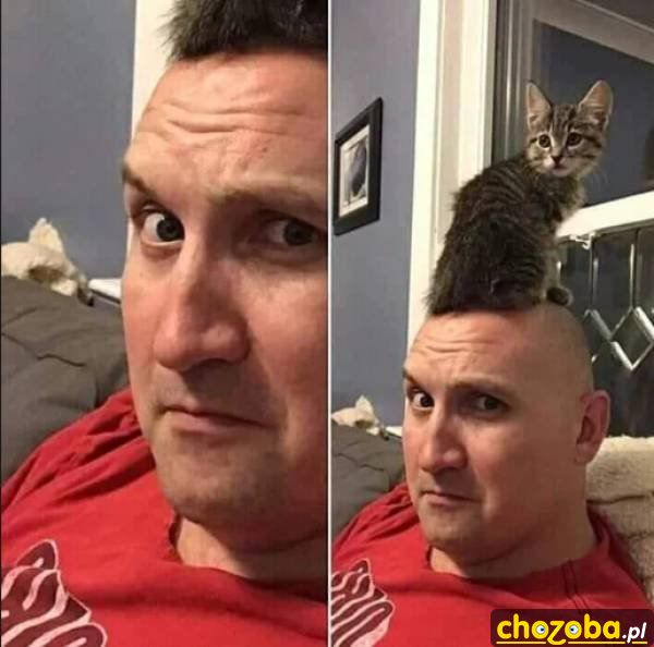Włosy?