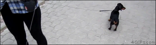 Atak reklamówki