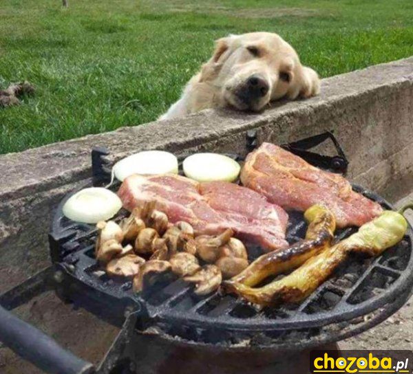 Wymarzony grill