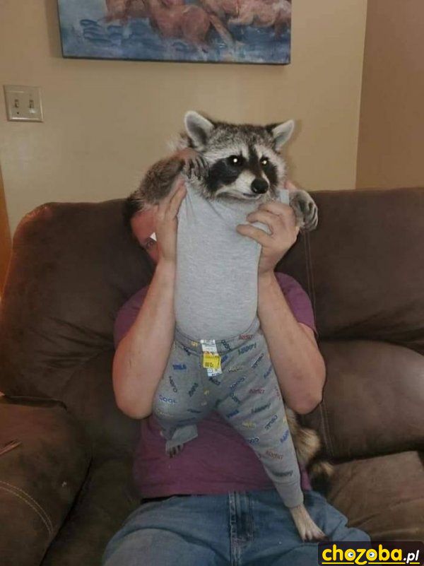 Synek