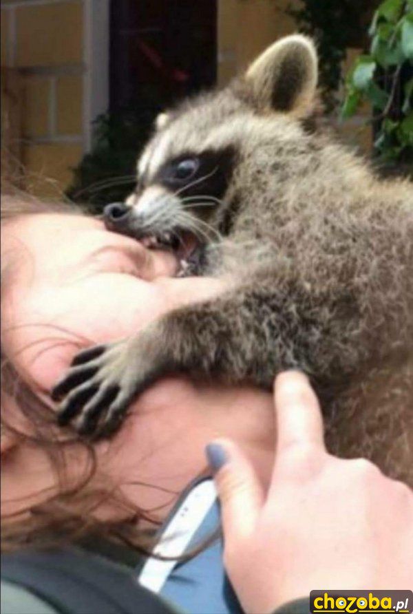 Aaaaaaa!