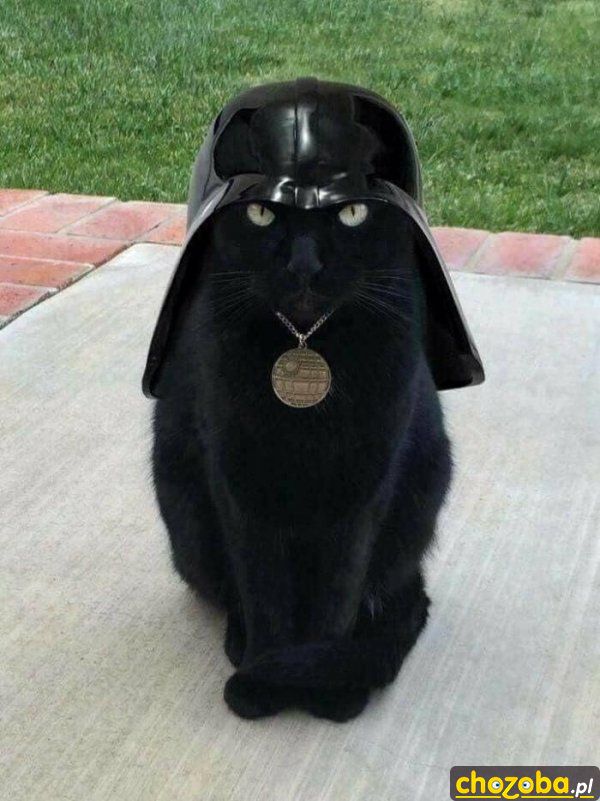 Lord Vader