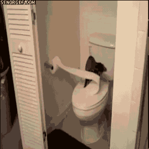 Potrzebuję papieru