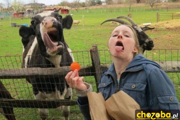 Eeeeeee!