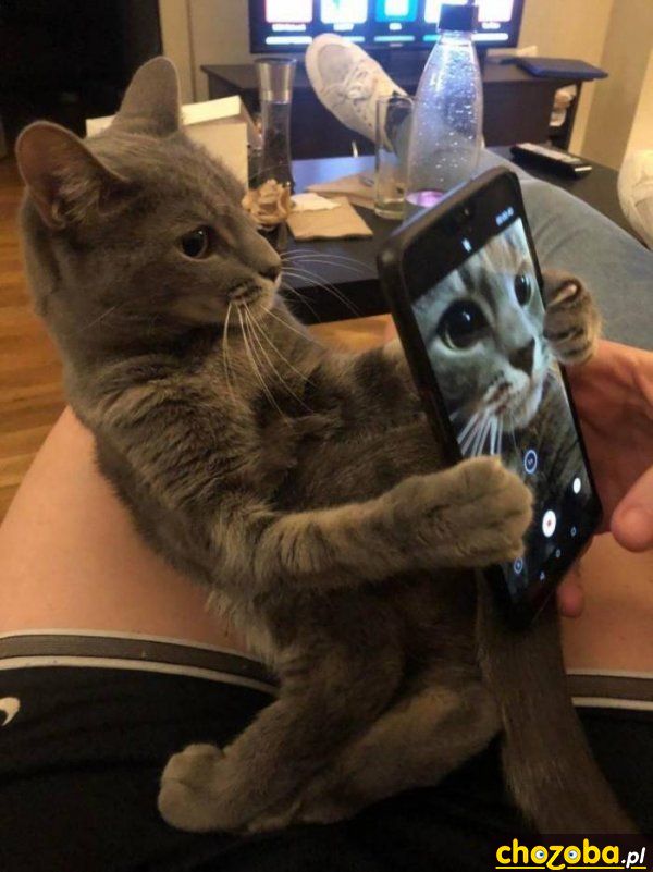 Robię sobie selfie