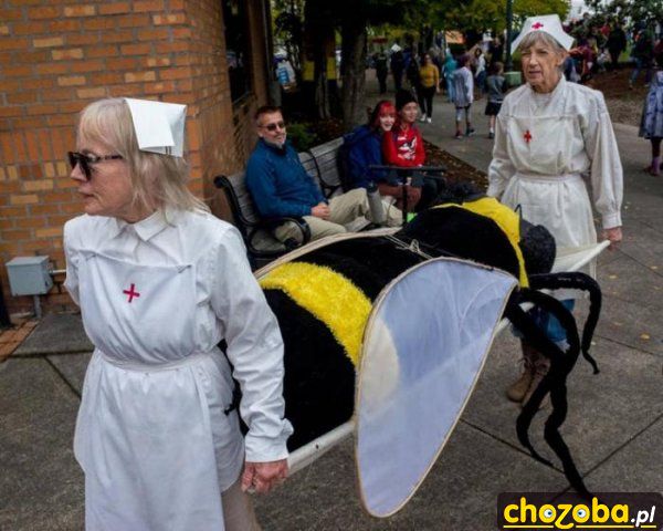 Pszczoła zemdlała