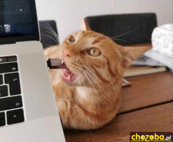 Dobry pendrive