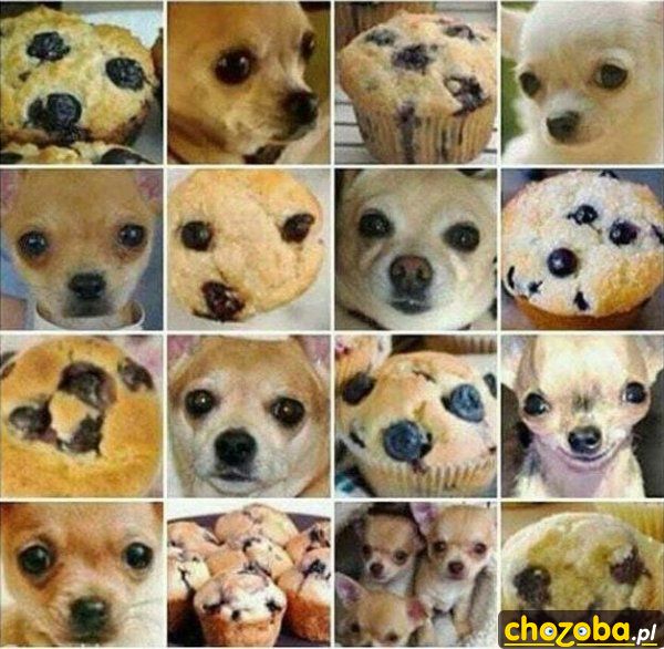 Muffinki