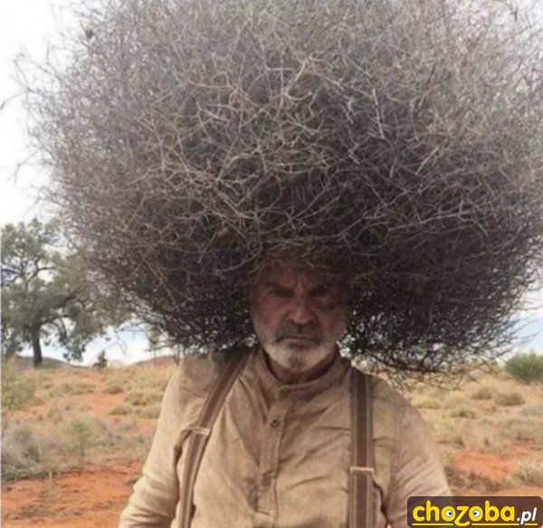 Afro
